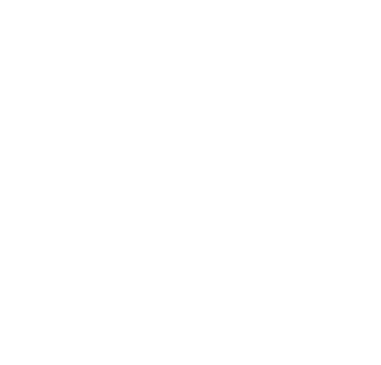 AM SAFE-X